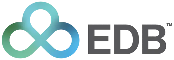 Partner logo 31